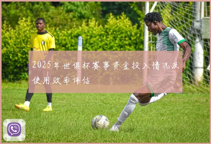 2025年世俱杯赛事资金投入情况及使用效率评估