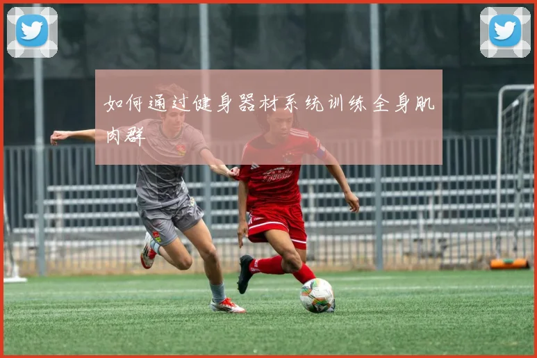 如何通过健身器材系统训练全身肌肉群