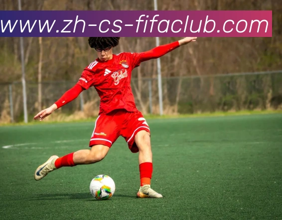 世界杯直播平台生态图